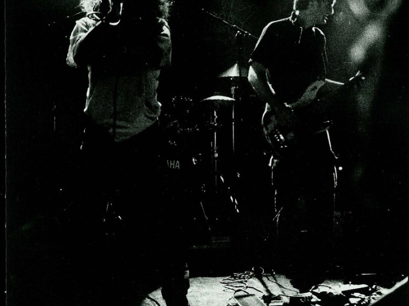 Media / DAMO SUZUKI’NETWORK